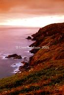 industrious coast